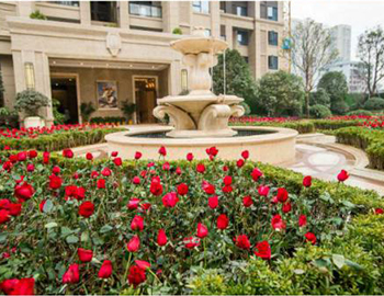 建發(fā)·中央公園:樣板開放彰顯匠心